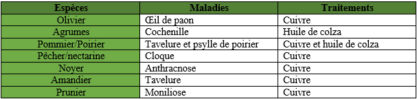 Traitement d'hiver des arbres fruitiers : exemples
