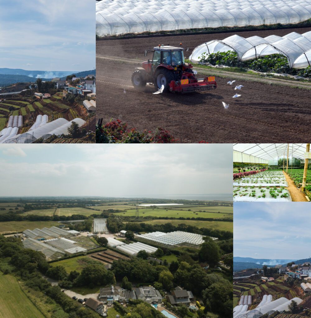 serres agricoles