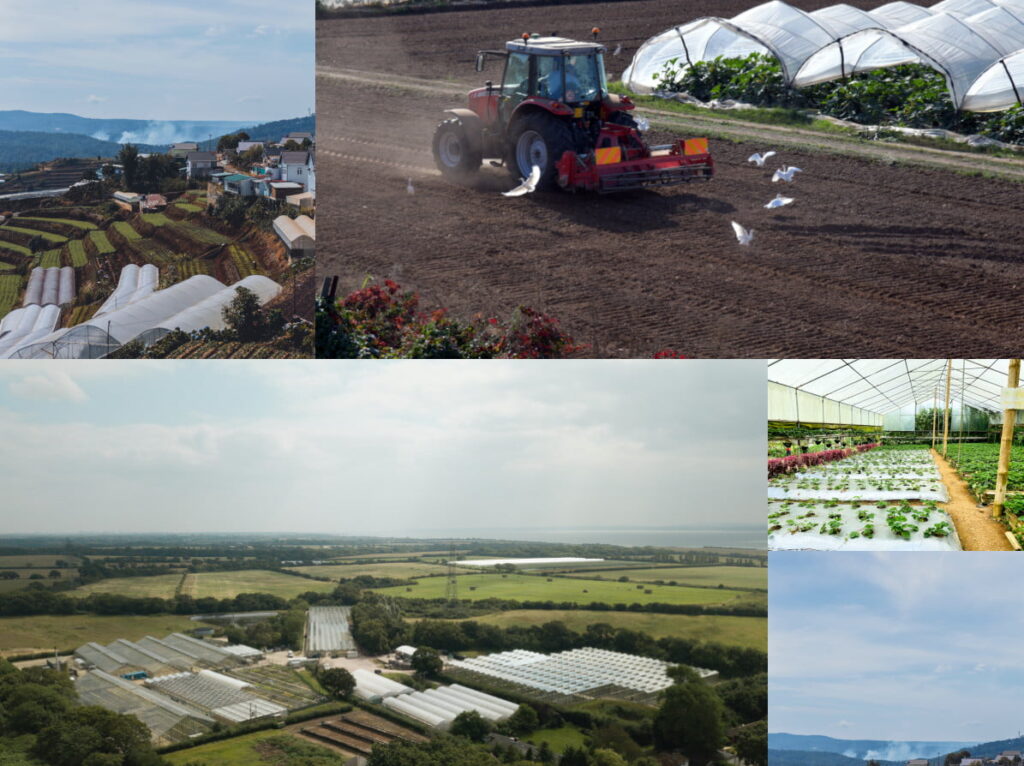 serres agricoles