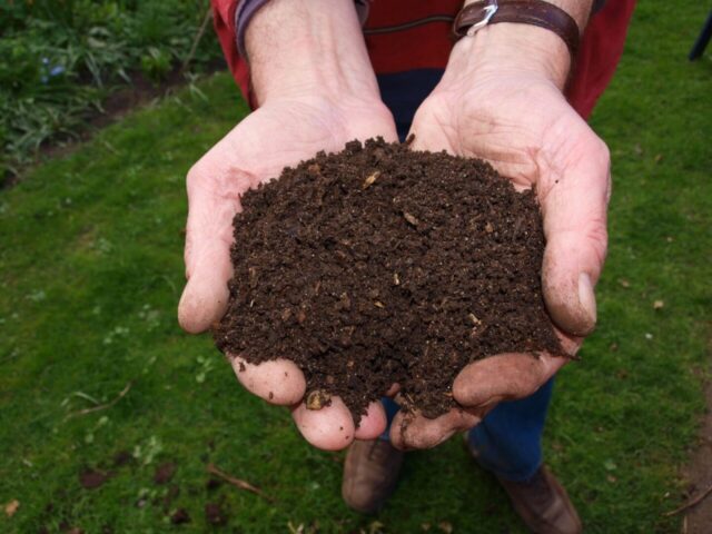 Utilisation de Compost