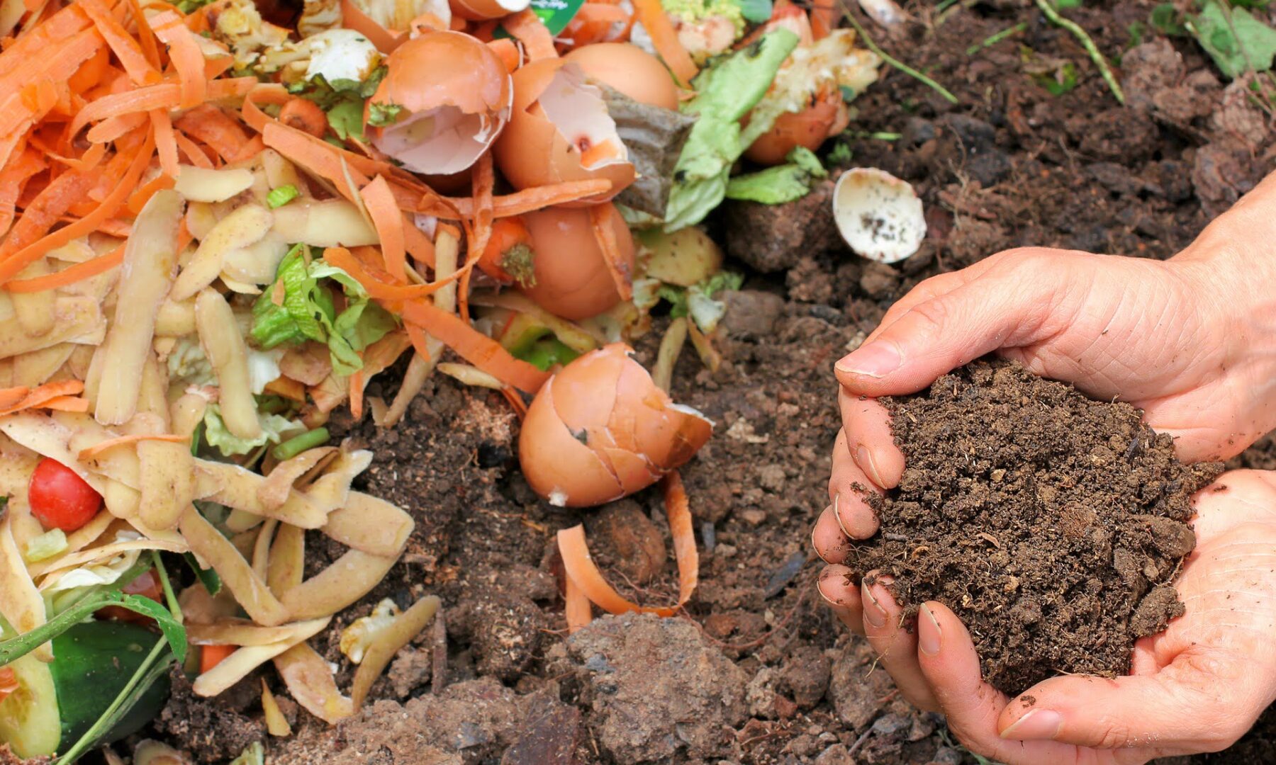 Compostage aux jardins