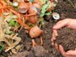 Compostage aux jardins
