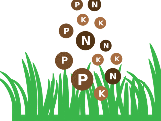Fertilisation des jardins