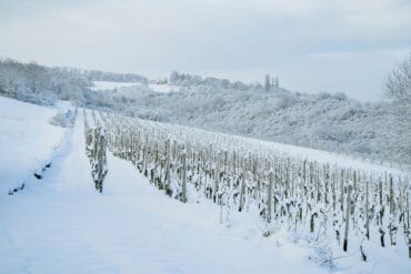 Ouvrages d’irrigation agricole : 4 Types importants.