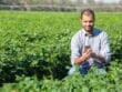 Intelligence artificielle agricole