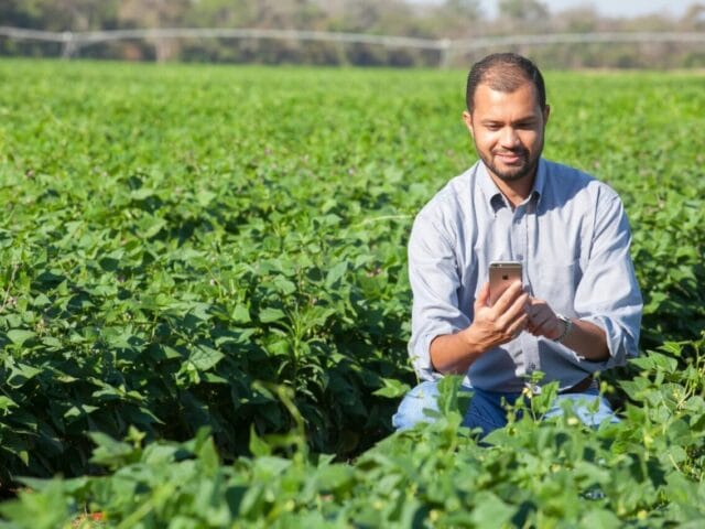 Intelligence artificielle agricole
