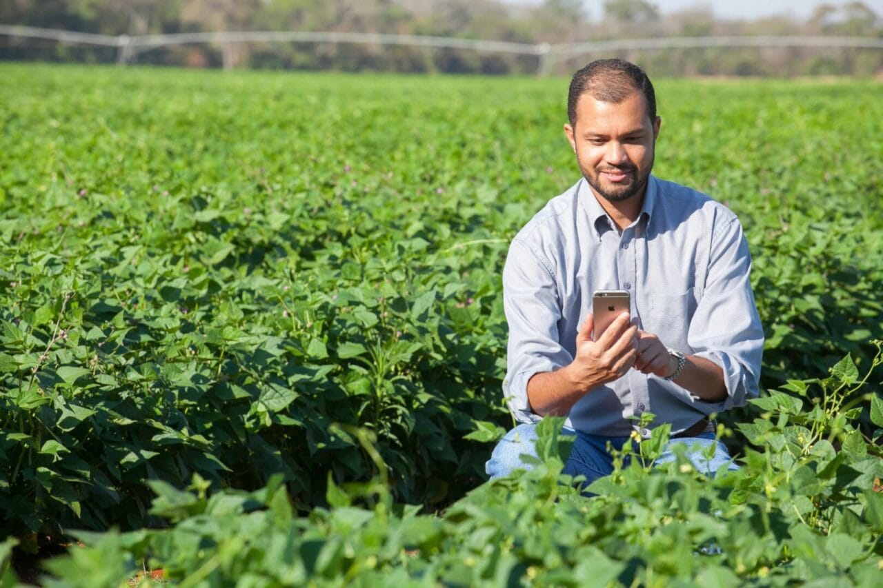 Intelligence artificielle agricole