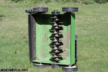 Traitements d&rsquo;hivers des arbres fruitiers : 2 cas importants