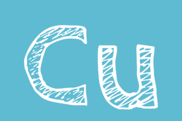 Plantes carnivores : 3 espèces les plus connues à savoir.