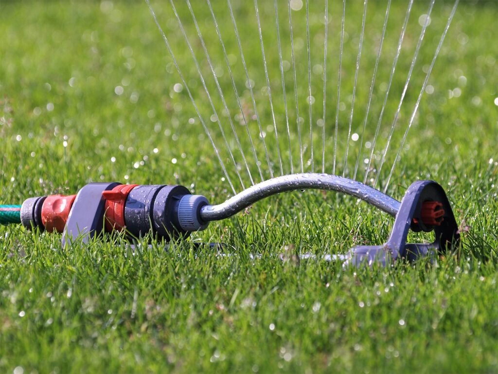 Opérations de jardinage en été