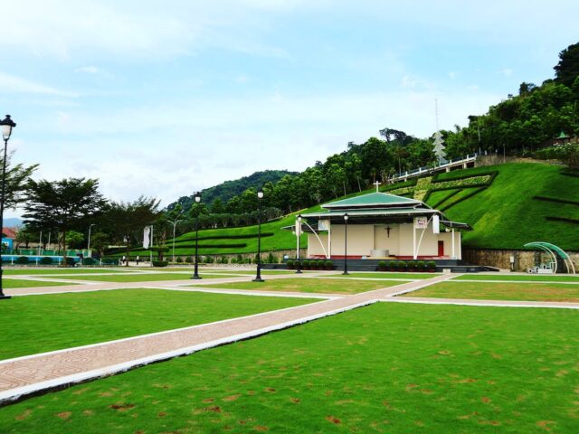 Réensemencement de gazon