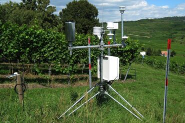 Lutte phytosanitaire naturelle aux jardins : 11 exemples.