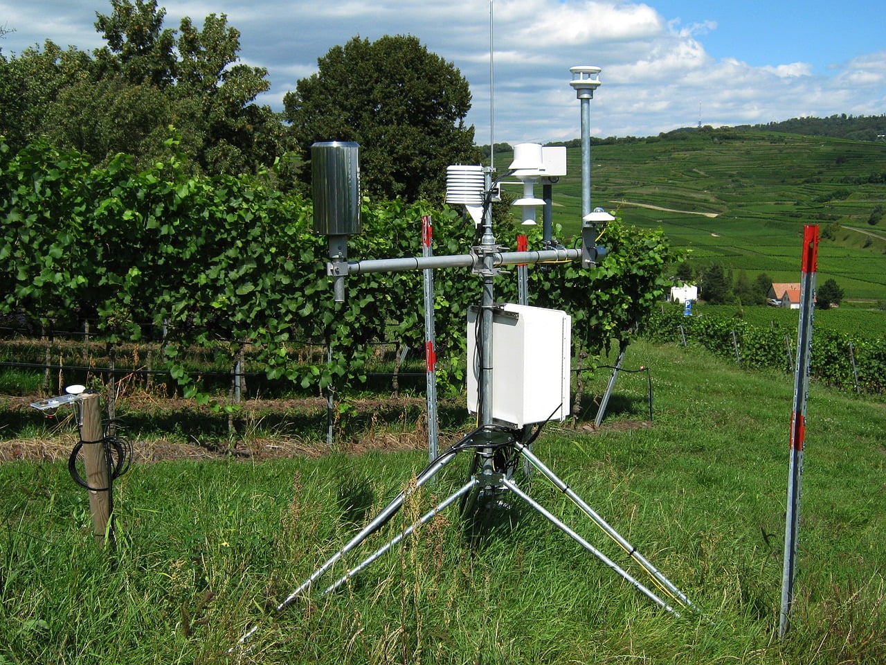 Évapotranspiration