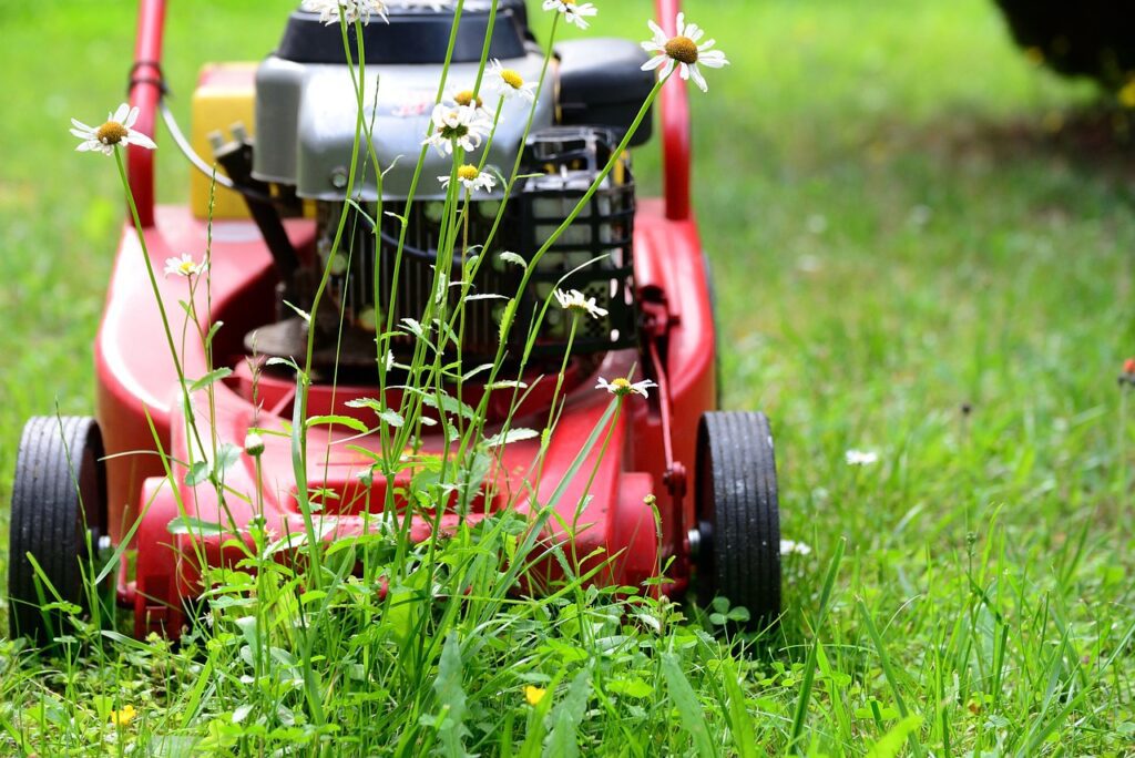 Préparer le jardin d'ornement à passer l'hiver