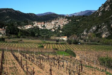 Préparation d&rsquo;un jardin d&rsquo;ornement pour passer l&rsquo;hiver !