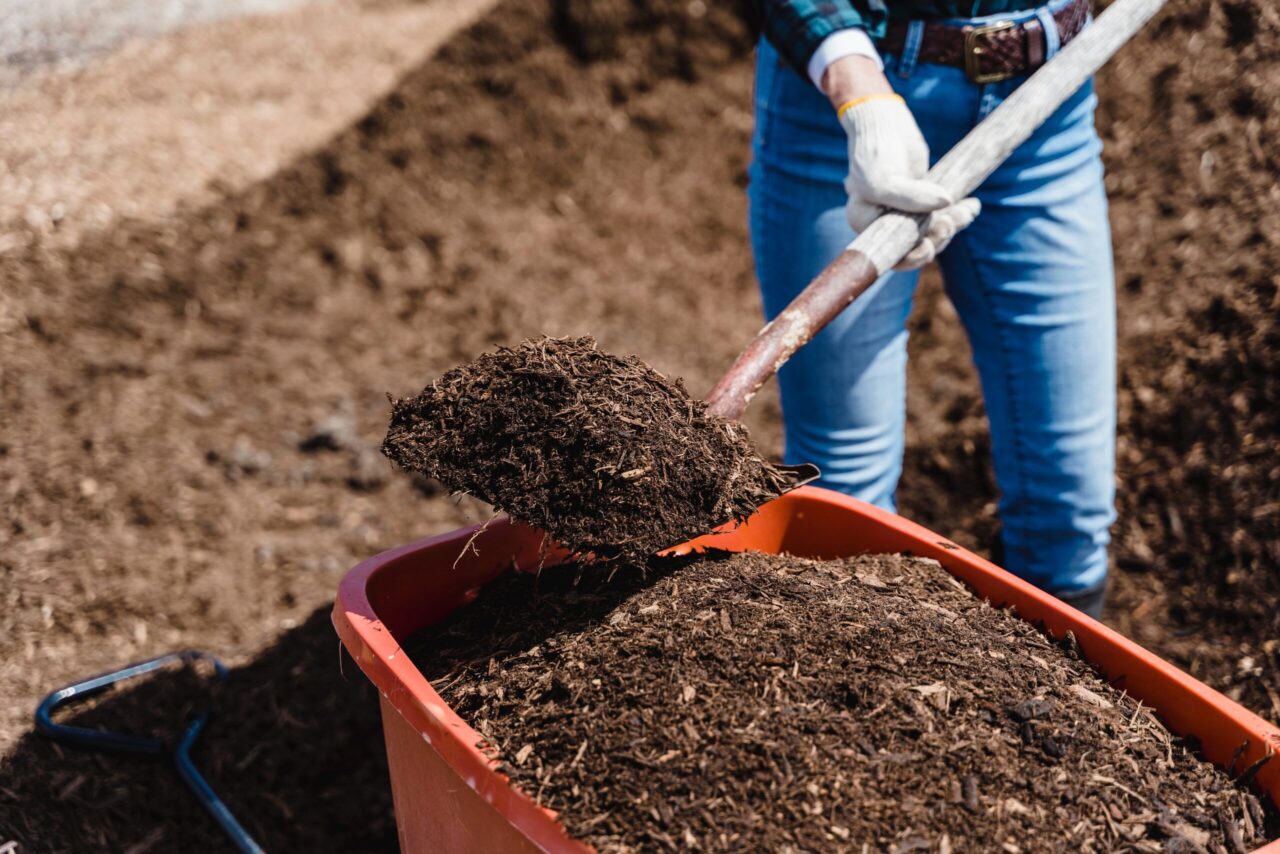 Utilisation de Compost