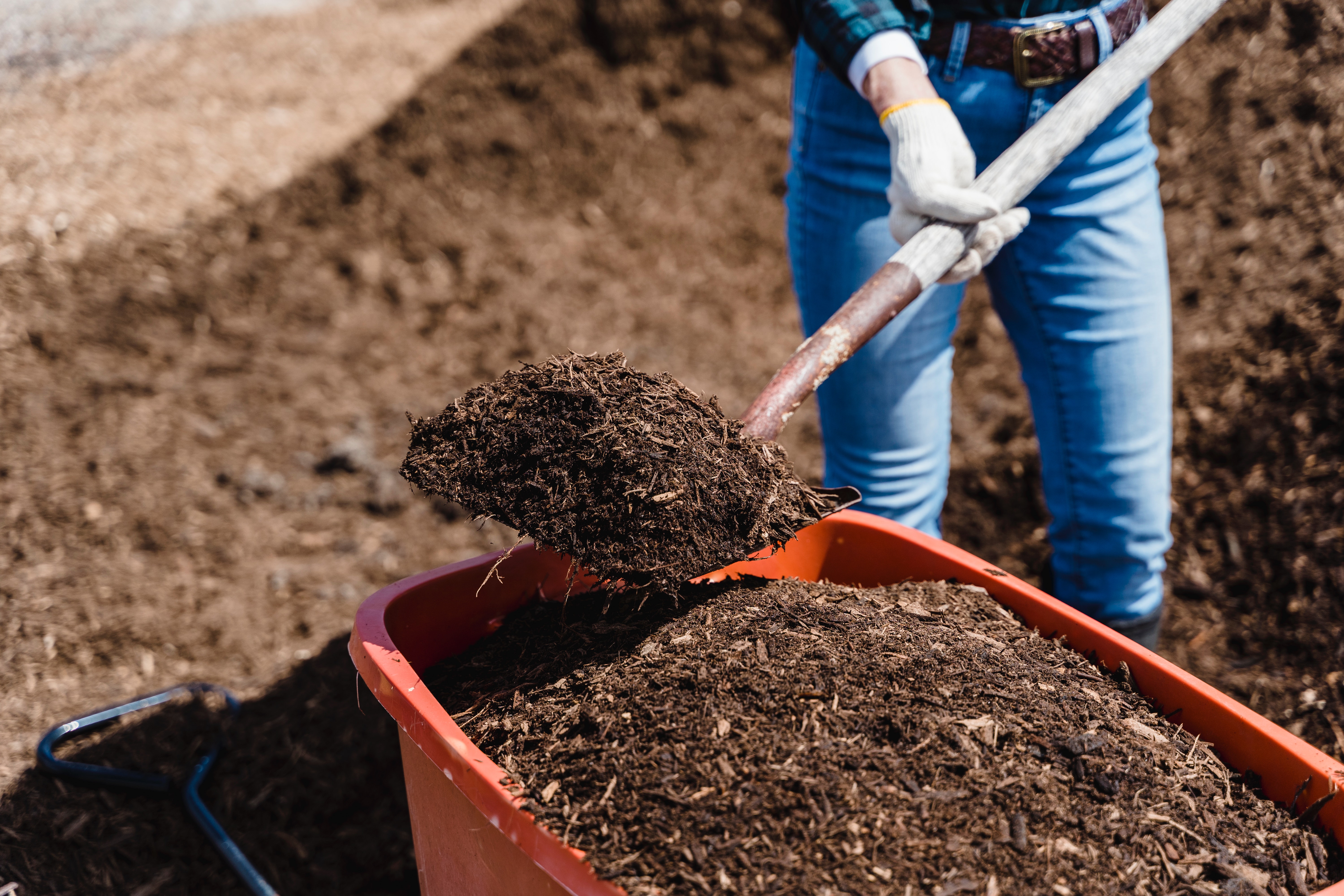 Préparer le jardin d'ornement à passer l'hiver