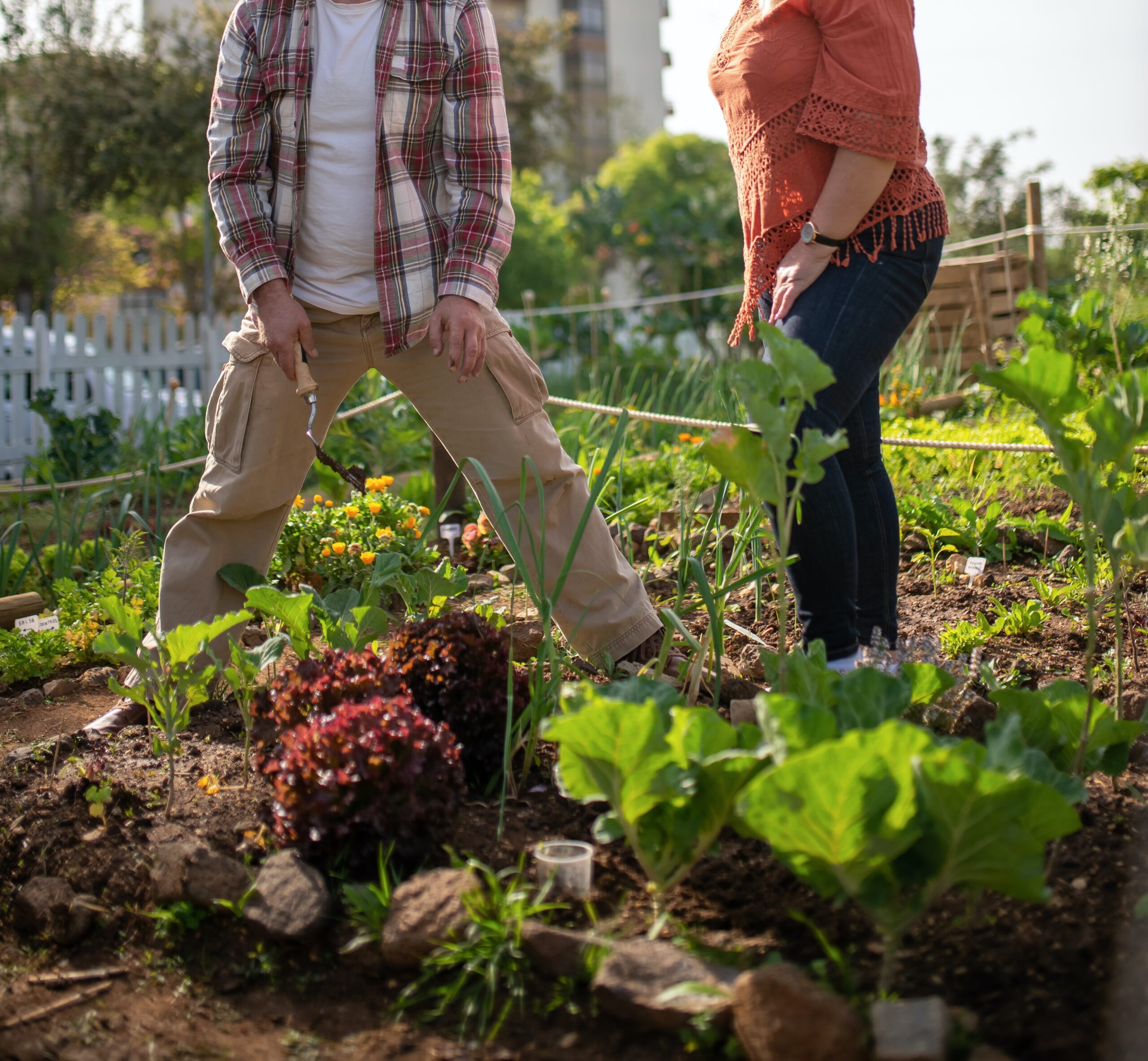 Potager en Mai