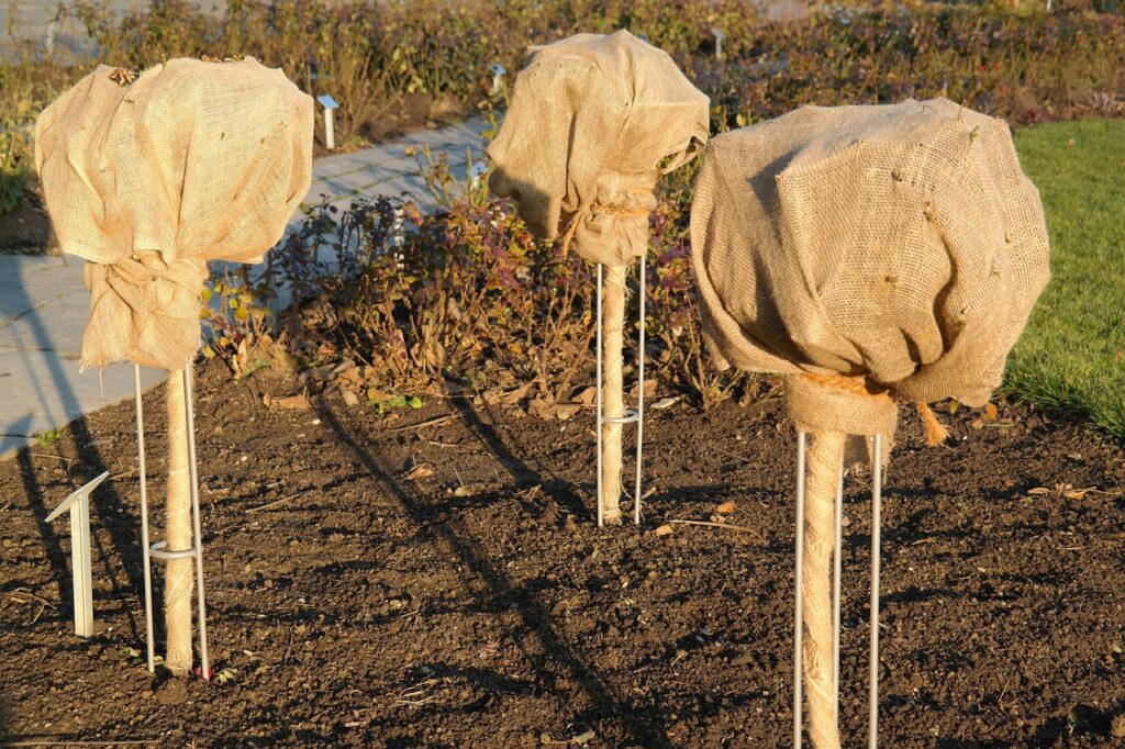 Préparer le jardin d'ornement à passer l'hiver