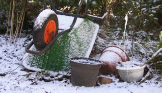 Preparing a garden for winter