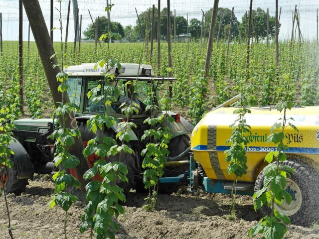 Lutte phytosanitaire en hiver