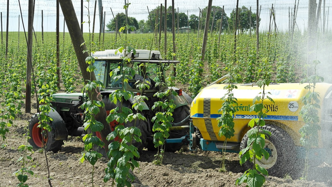 Lutte phytosanitaire en hiver