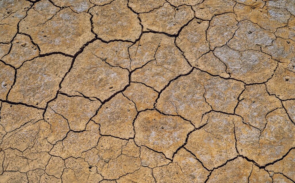 Salinisation des sols