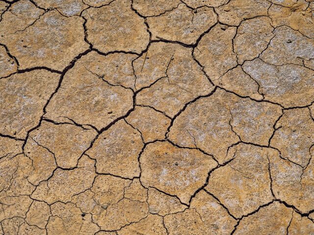 Salinisation des sols