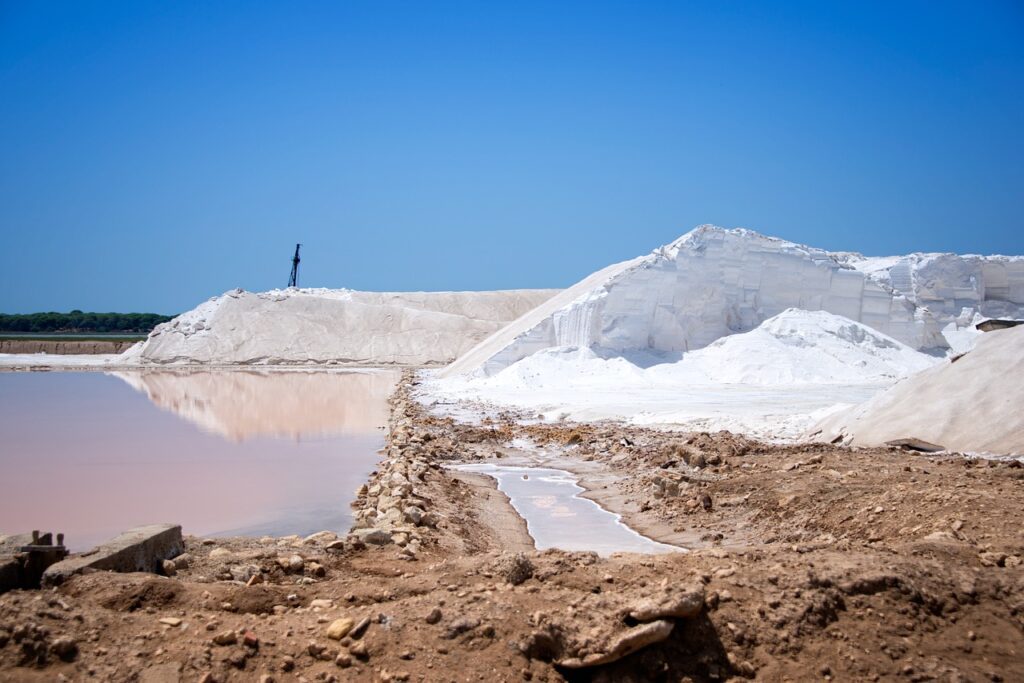 Salinisation des sol primaire
