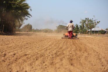 Chaux vive en agriculture : 3 utilités les plus importantes.