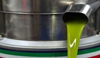 Olive oil yield