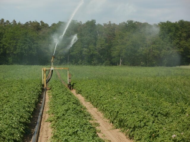 Irrigation d’appoint