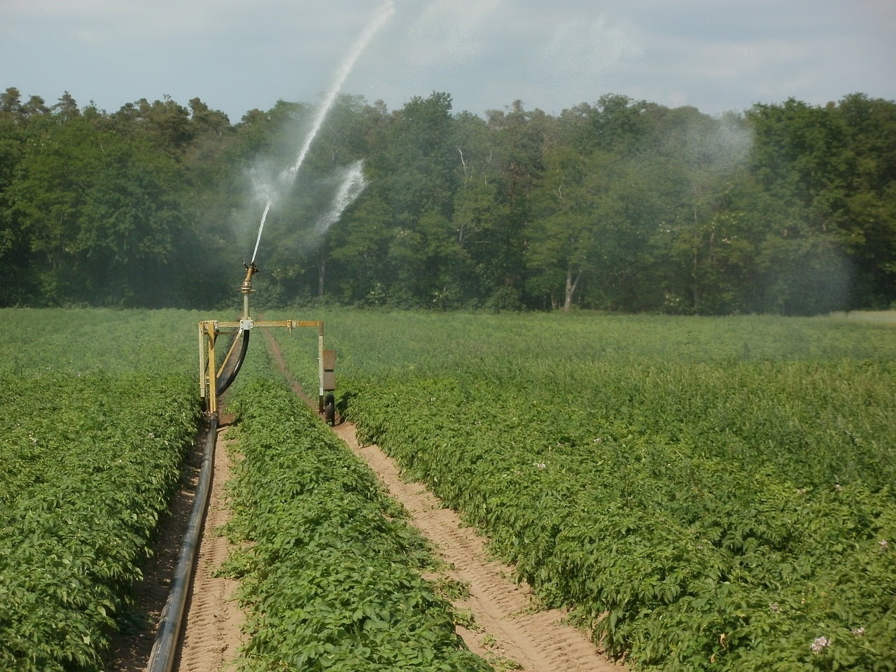 Irrigation d’appoint