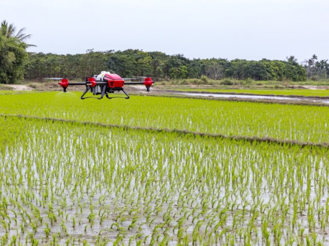 Drones en agriculture