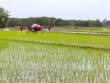 Drones en agriculture