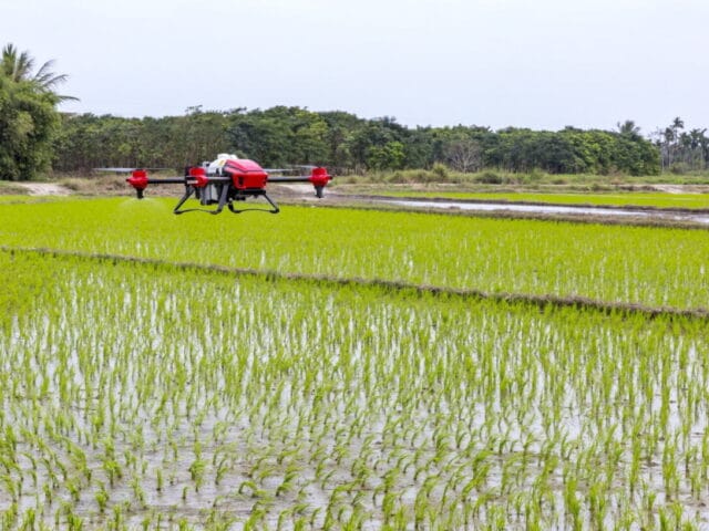 Drones en agriculture