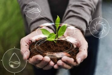 Agriculture régénérative : 6 précautions importantes.
