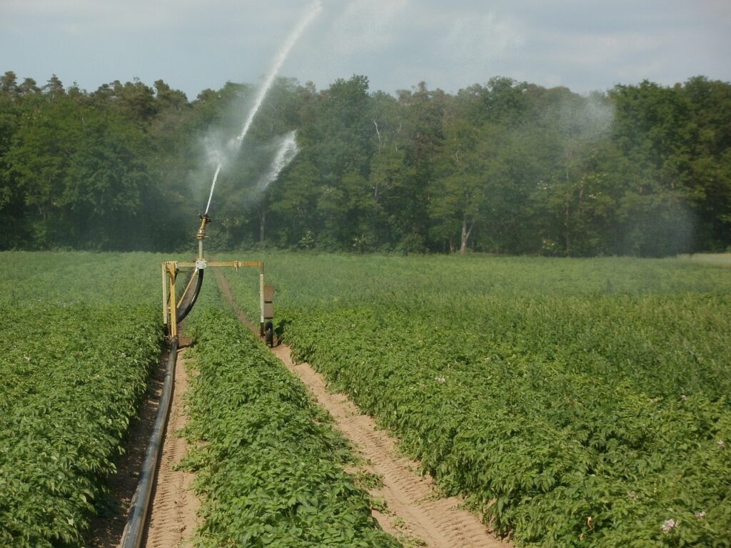 Irrigation agricole