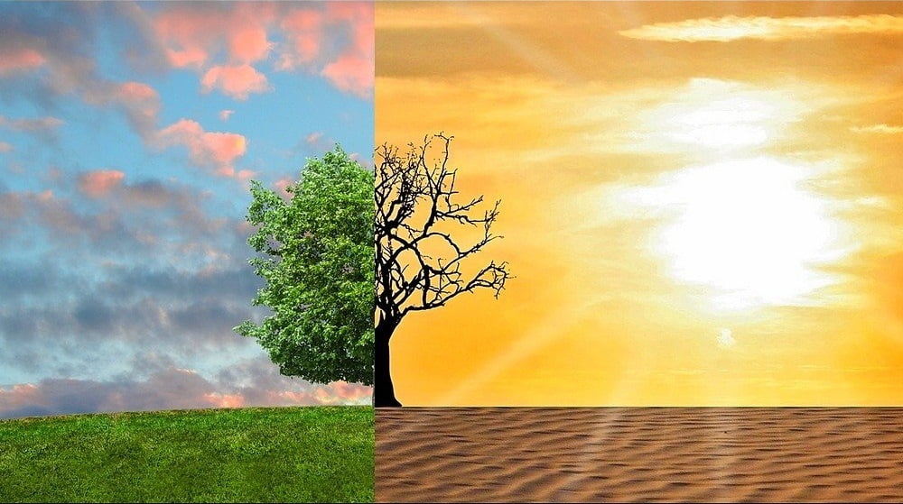 Tolérance des cultures à la sécheresse