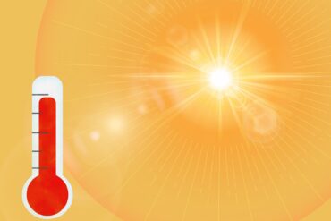 Régulateurs de croissance des plantes : 6 types essentiels.