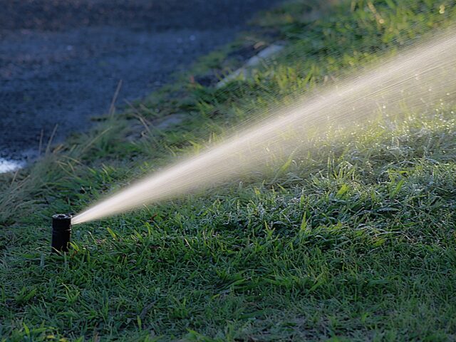 Irrigation des pelouses