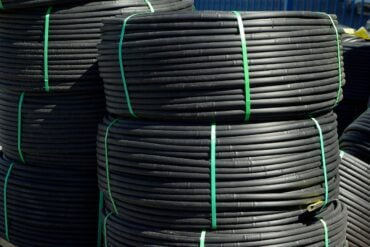 Courtilières phytophages en ornement : 3 luttes efficaces.