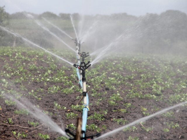 eau d'irrigation