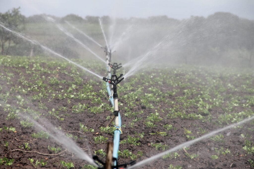 End-of-cycle irrigation maintenance