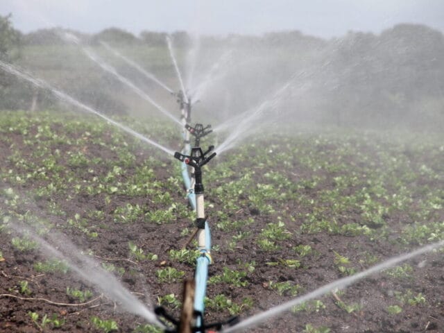 eau d'irrigation