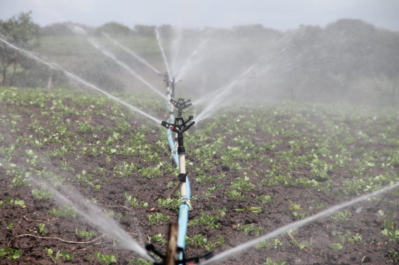 eau d'irrigation
