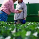 Nos services : Services agricoles au Maroc