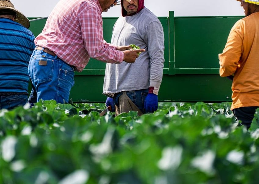 Nos services : Services agricoles au Maroc