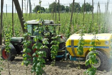 Potager en Avril : 13 opérations essentielles à envisager !