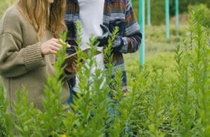 Services-Agriculture-Jardinage 36
